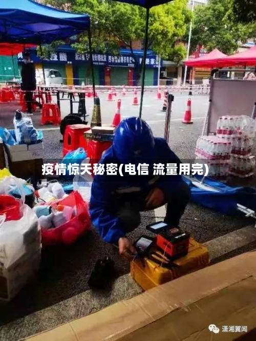疫情惊天秘密(电信 流量用完)-第2张图片