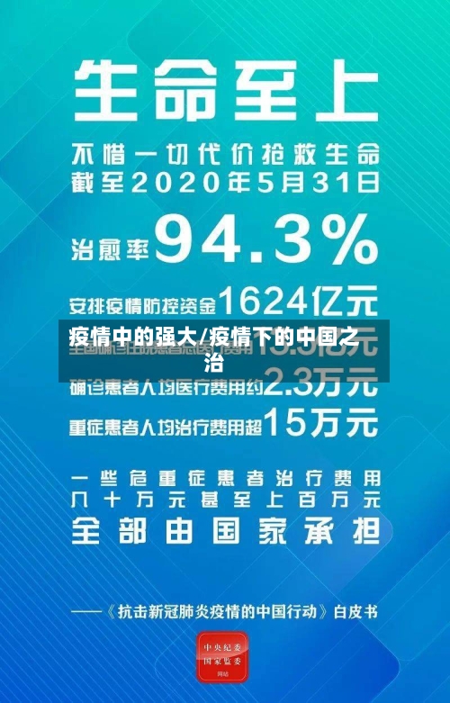 疫情中的强大/疫情下的中国之治-第2张图片