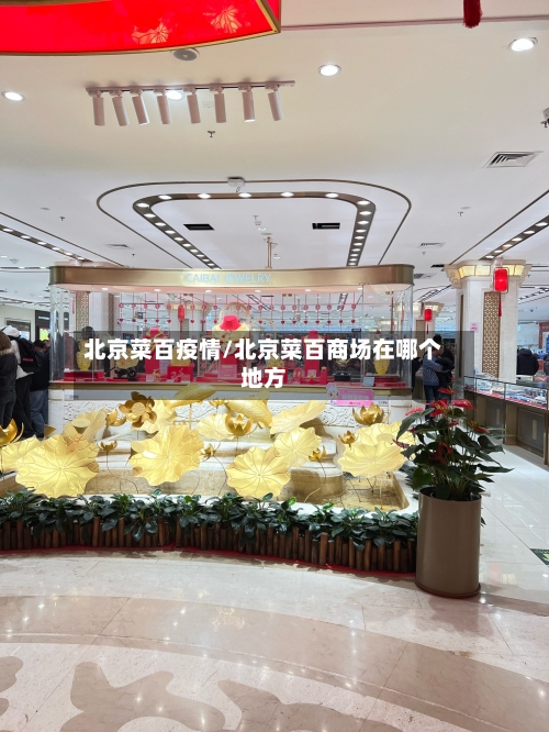 北京菜百疫情/北京菜百商场在哪个地方