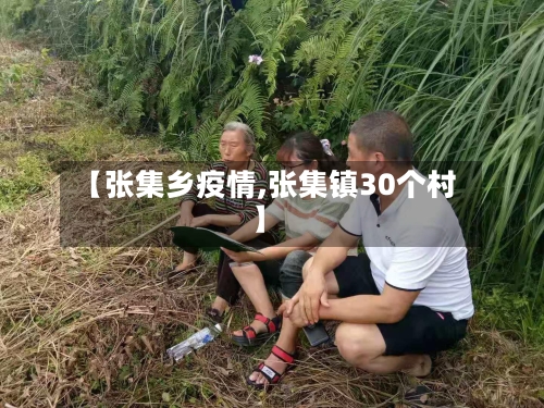 【张集乡疫情,张集镇30个村】-第2张图片