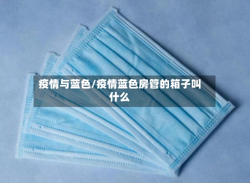 疫情与蓝色/疫情蓝色房管的箱子叫什么