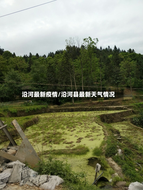 沿河最新疫情/沿河县最新天气情况-第2张图片