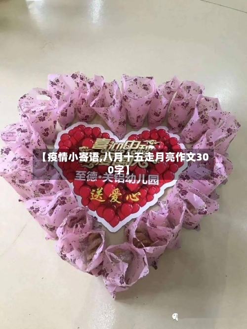 【疫情小寄语,八月十五走月亮作文300字】