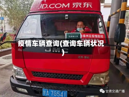 疫情车辆查询(查询车辆状况)