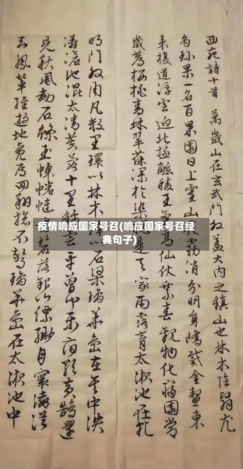疫情响应国家号召(响应国家号召经典句子)-第2张图片