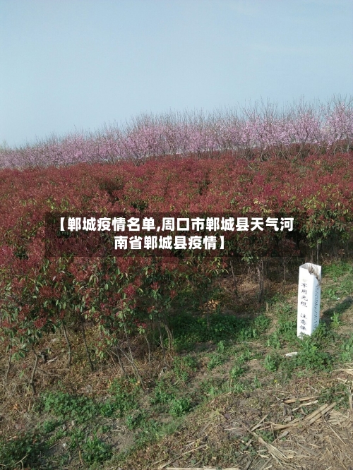 【郸城疫情名单,周口市郸城县天气河南省郸城县疫情】