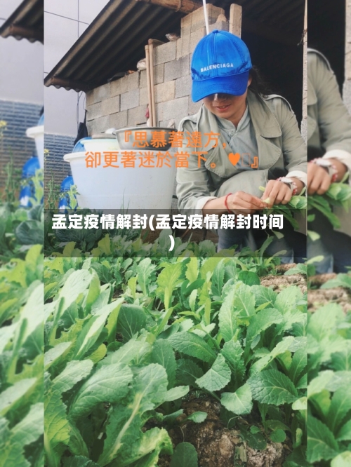 孟定疫情解封(孟定疫情解封时间)