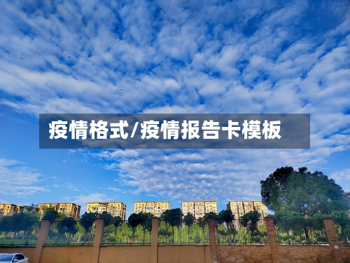 疫情格式/疫情报告卡模板