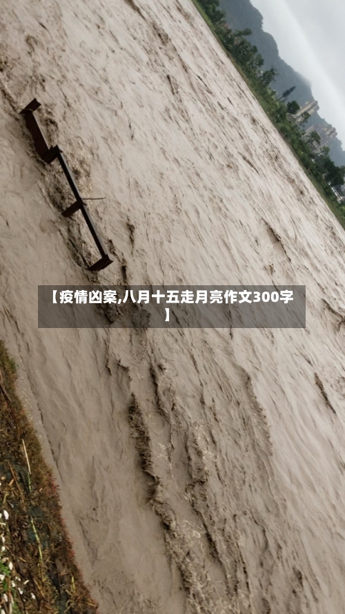 【疫情凶案,八月十五走月亮作文300字】