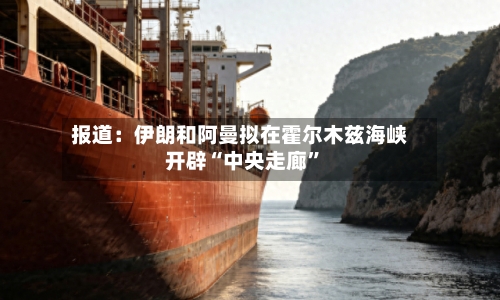 报道：伊朗和阿曼拟在霍尔木兹海峡开辟“中央走廊”