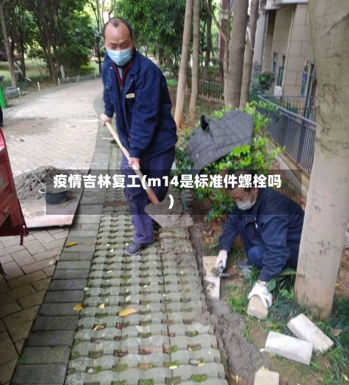 疫情吉林复工(m14是标准件螺栓吗)