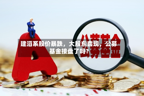 建滔系股价暴跌	，大股东套现，公募基金接盘了吗？-第3张图片