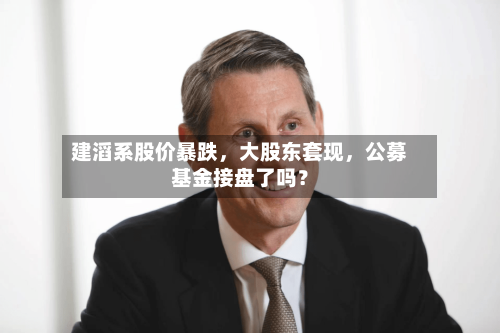 建滔系股价暴跌	，大股东套现，公募基金接盘了吗？-第2张图片