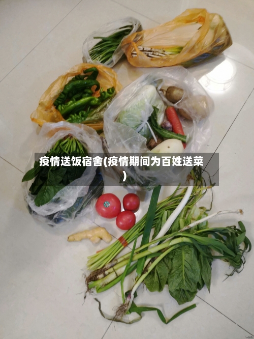 疫情送饭宿舍(疫情期间为百姓送菜)