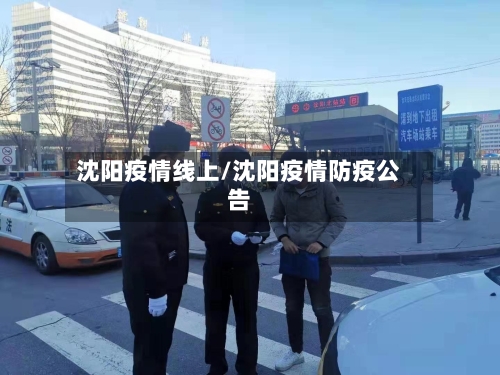 沈阳疫情线上/沈阳疫情防疫公告