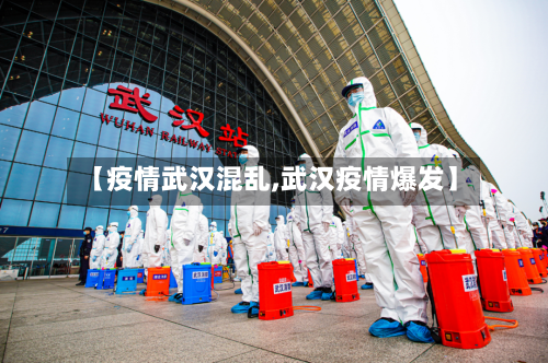 【疫情武汉混乱,武汉疫情爆发】-第2张图片
