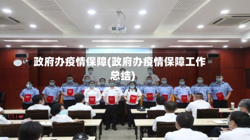 政府办疫情保障(政府办疫情保障工作总结)