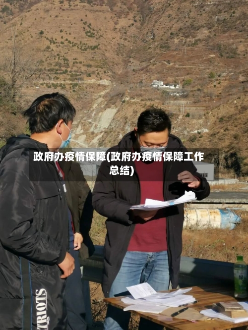 政府办疫情保障(政府办疫情保障工作总结)-第3张图片