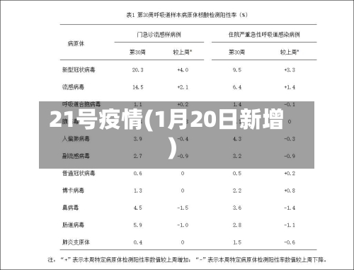 21号疫情(1月20日新增)
