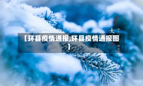 【环县疫情通报,环县疫情通报图】