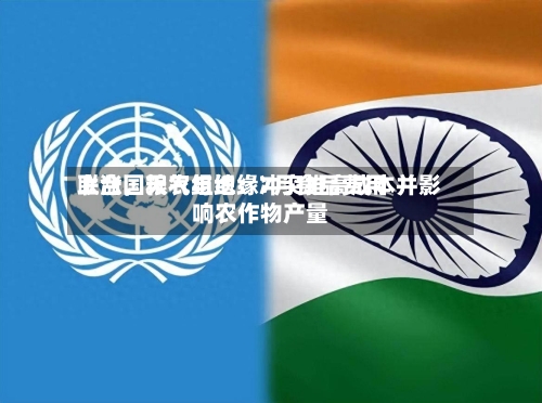 联合国粮农组织：7月食品费用上涨，天气与地缘冲突推高成本并影响农作物产量-第2张图片