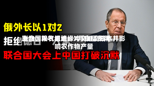 联合国粮农组织：7月食品费用上涨	，天气与地缘冲突推高成本并影响农作物产量-第3张图片