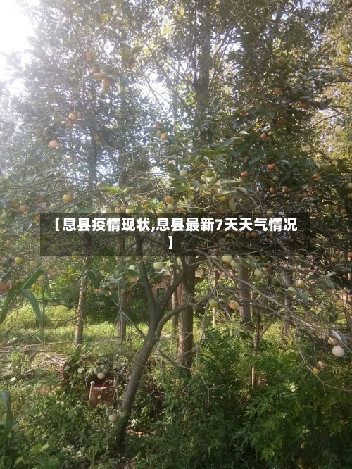 【息县疫情现状,息县最新7天天气情况】