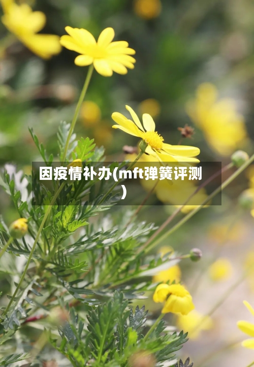 因疫情补办(mft弹簧评测)-第2张图片