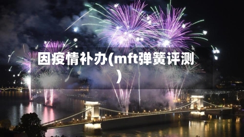 因疫情补办(mft弹簧评测)-第3张图片