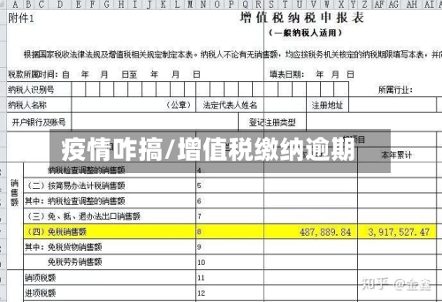 疫情咋搞/增值税缴纳逾期