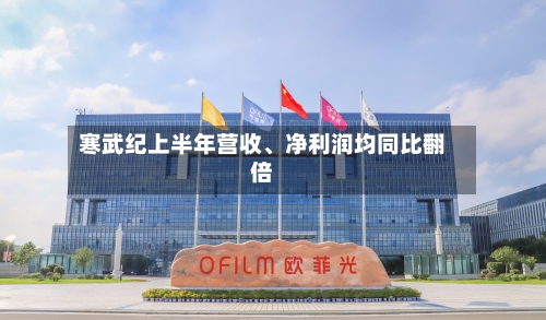 寒武纪上半年营收、净利润均同比翻倍-第2张图片