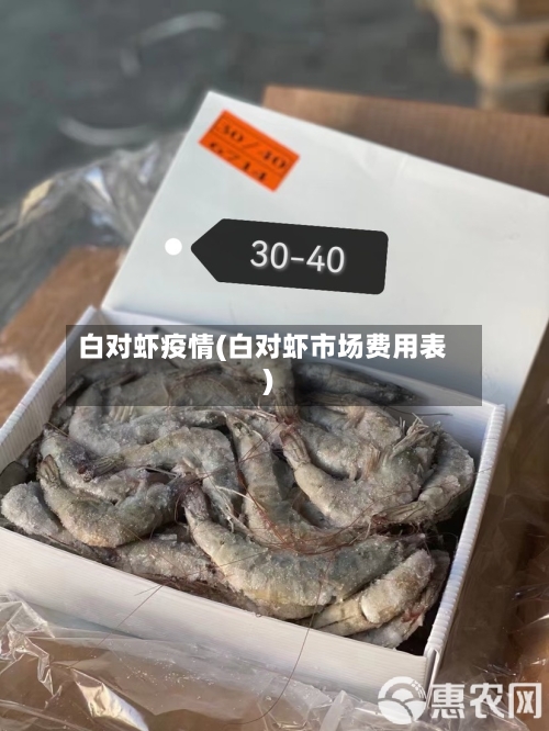 白对虾疫情(白对虾市场费用表)-第2张图片