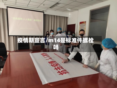 疫情期宣言/m14是标准件螺栓吗-第2张图片