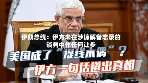 伊朗总统：伊方未在涉谅解备忘录的谈判中作任何让步-第2张图片