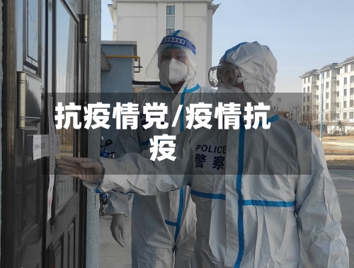 抗疫情党/疫情抗疫