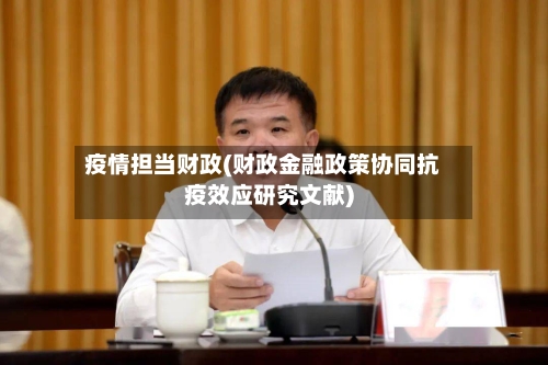疫情担当财政(财政金融政策协同抗疫效应研究文献)-第2张图片