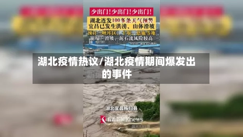 湖北疫情热议/湖北疫情期间爆发出的事件-第3张图片
