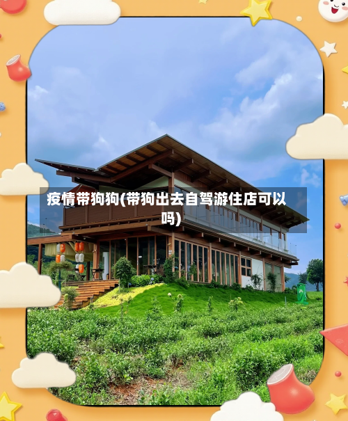 疫情带狗狗(带狗出去自驾游住店可以吗)-第3张图片