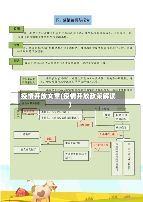 疫情开放文章(疫情开放政策解读)-第2张图片