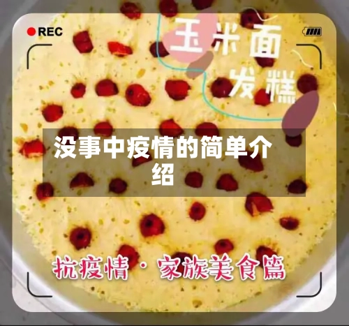 没事中疫情的简单介绍