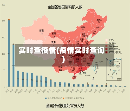 实时查疫情(疫情实时查询)