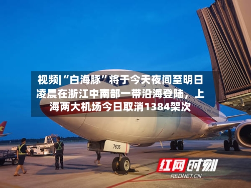 视频|“白海豚”将于今天夜间至明日凌晨在浙江中南部一带沿海登陆，上海两大机场今日取消1384架次
