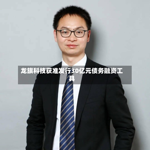龙旗科技获准发行30亿元债务融资工具