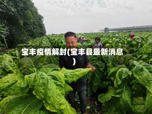 宝丰疫情解封(宝丰县最新消息)