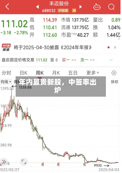 年内最贵新股，中签率出炉-第2张图片