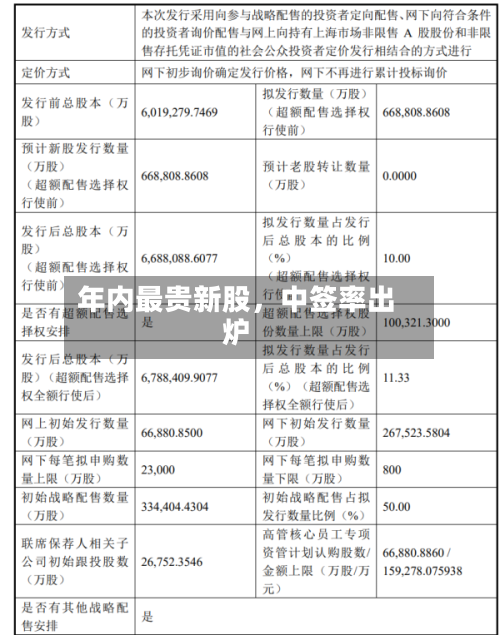 年内最贵新股	，中签率出炉-第3张图片