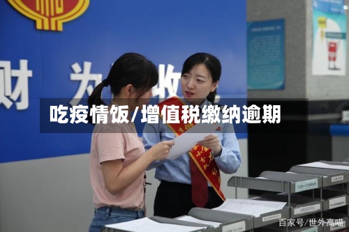 吃疫情饭/增值税缴纳逾期-第2张图片