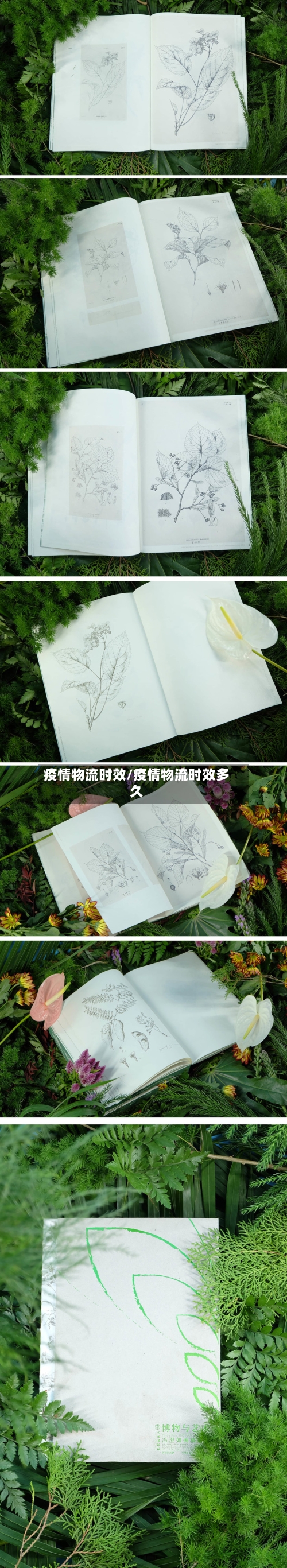 疫情物流时效/疫情物流时效多久-第2张图片