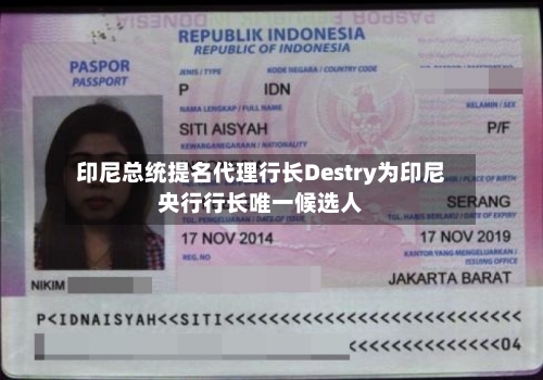 印尼总统提名代理行长Destry为印尼央行行长唯一候选人-第2张图片