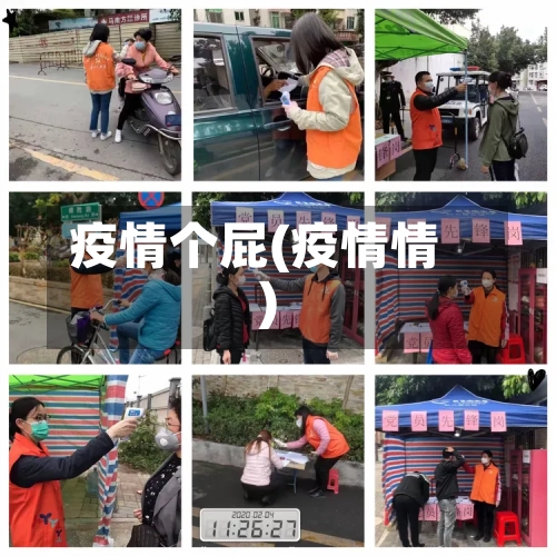 疫情个屁(疫情情)